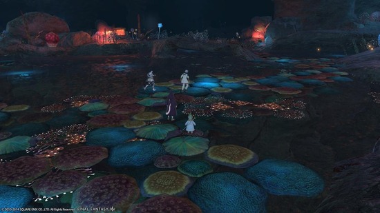 FF14速報