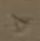 20170318112541