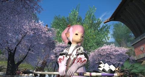 saibanin_1435577952_59402