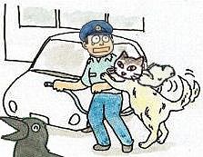 94_1