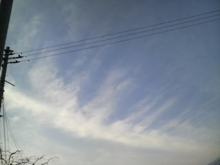 空1