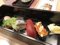 IMG_0528
