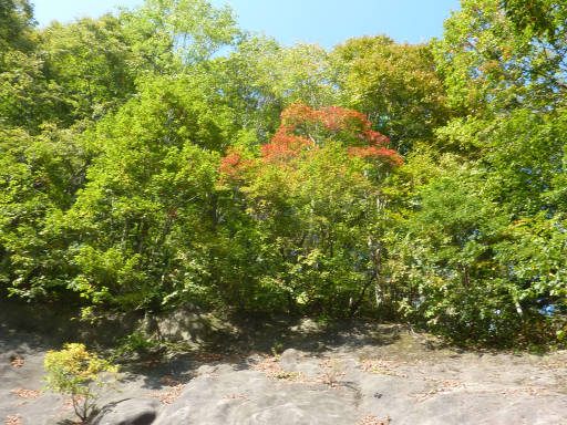 20101023・谷川07