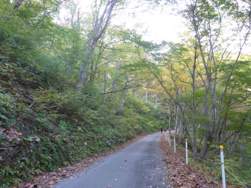 20101023・谷川19