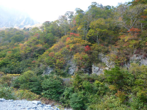 20101023・谷川26