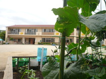 P1180463