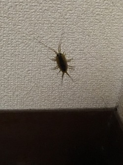 6C65081F-CF34-4966-94A3-7C79B46E9089