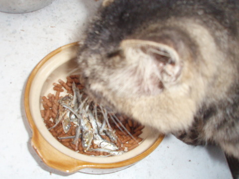 007