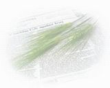 転職に有利な環境カウンセラーの資格