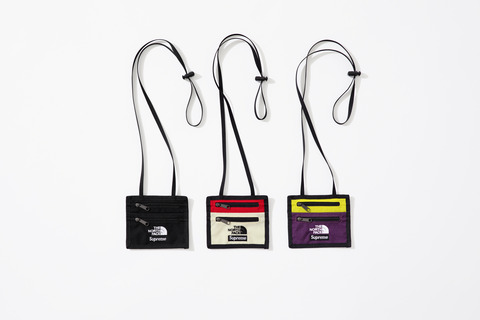 Supreme : The North Face Expedition Travel Wallet