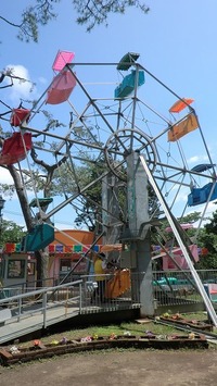 CIMG0084