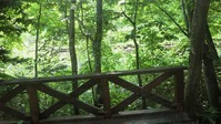 CIMG0068