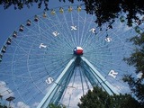 TexasStar#4