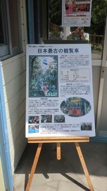 CIMG0081