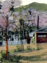 犬山公園003