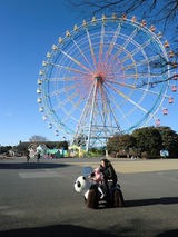 CIMG6726