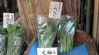 CIMG8804