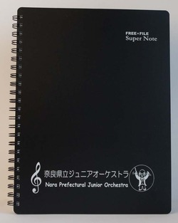 奈良県立ジュニア2013