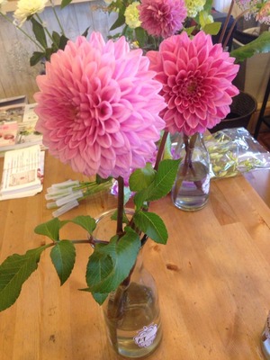 北九州市門司区の花屋ナチュリカの花の日持ち実験:BA剤の調整その2