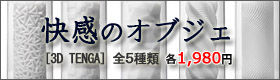 TENGA テンガ　3Dシリーズ