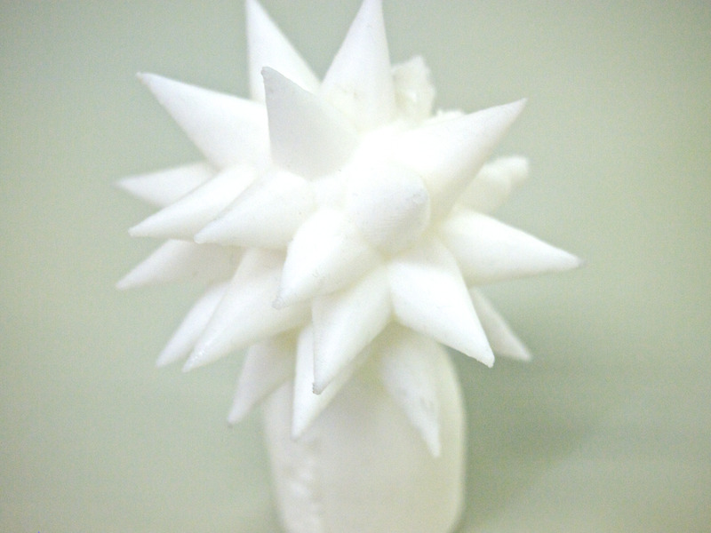 P5280008 (1)
