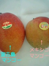 2f7ab47f.jpg