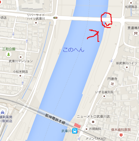 阪神間 武庫川で初心者によるテナガエビ釣り 特に言うことはノイ W