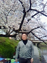 花見2