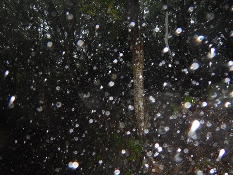 DSCN0911_R