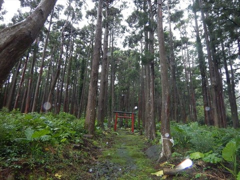 DSCN0964_R