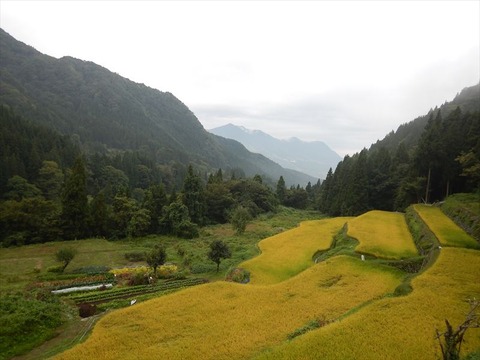 DSCN1958_R