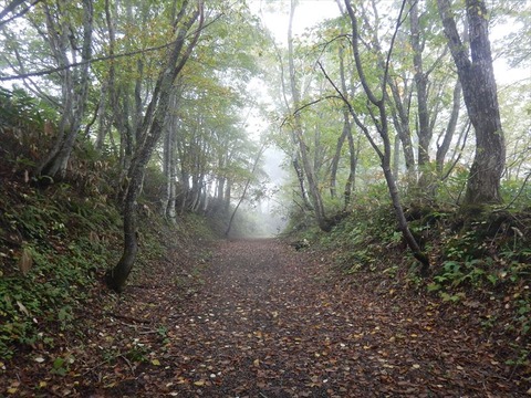 DSCN1967_R