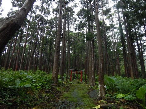 DSCN0963_R