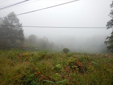 DSCN1969_R