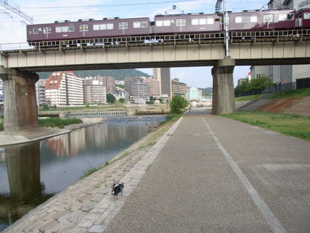 RIMG0027