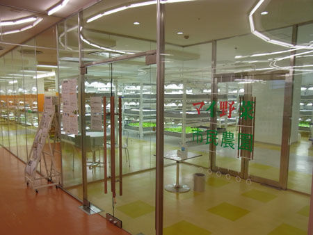 RIMG0011