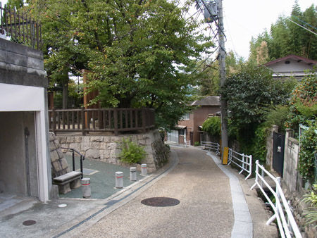 RIMG0006