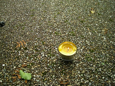 DSCN2515