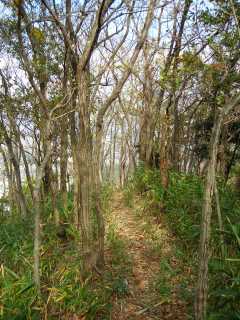 山道
