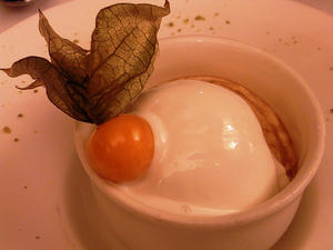 ヨーグルト