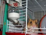 ある意味2ショット
