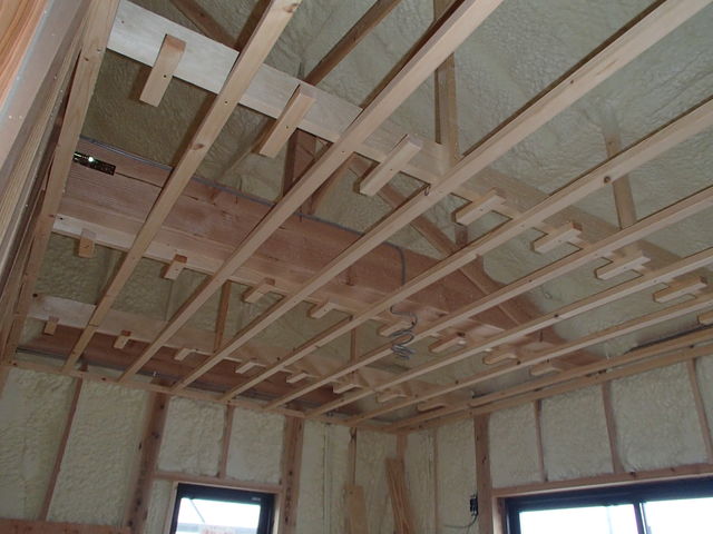 P6291411