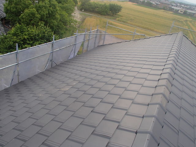 P6011175