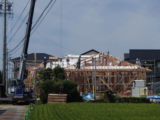 P7151515