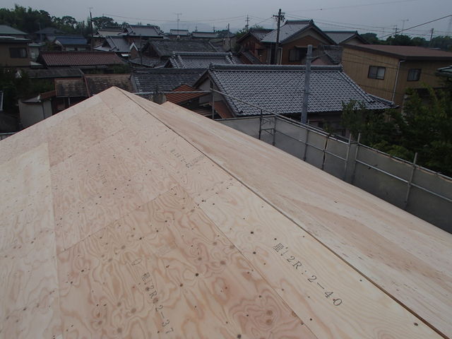 P9071865