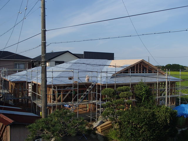 P7151530
