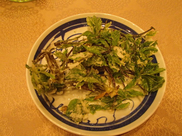 P5121029