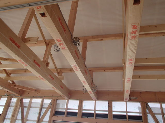 P4290865