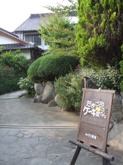 04