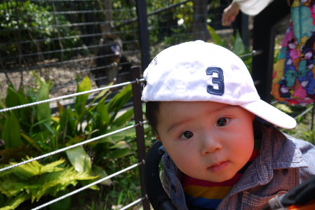 動物園02
